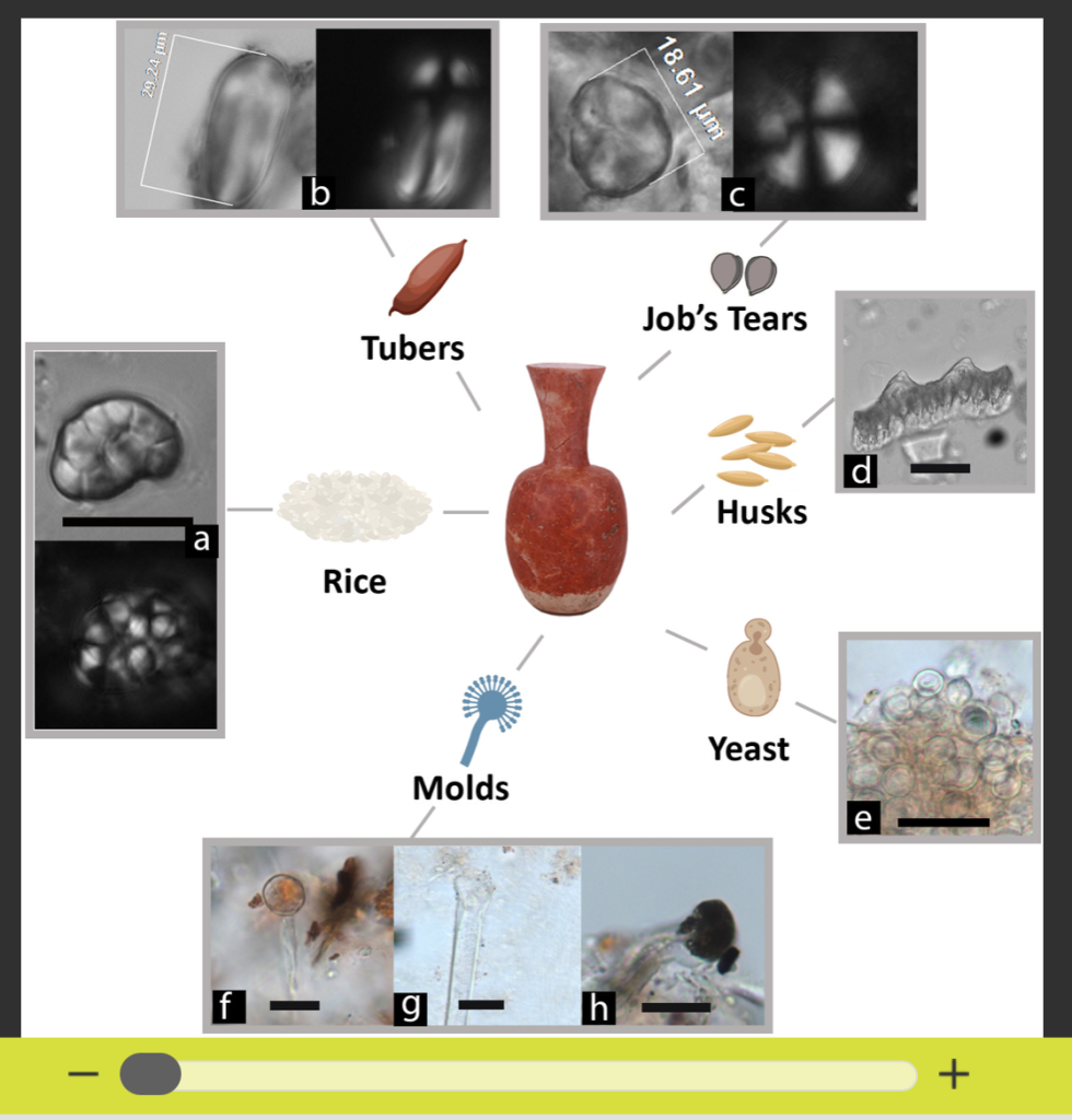 Beweise für Bier-Herstellung in Suedchina