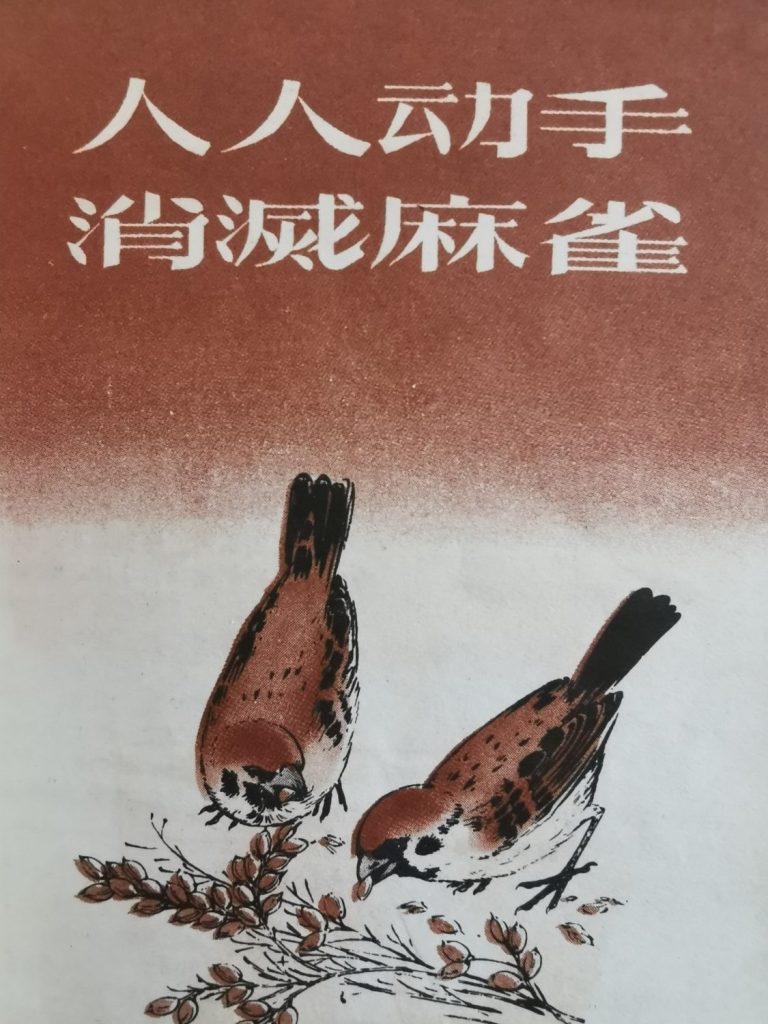 Propagandabroschüre von 1957 zur Kampagne gegen Spatzen: Jagt die Spatzen!